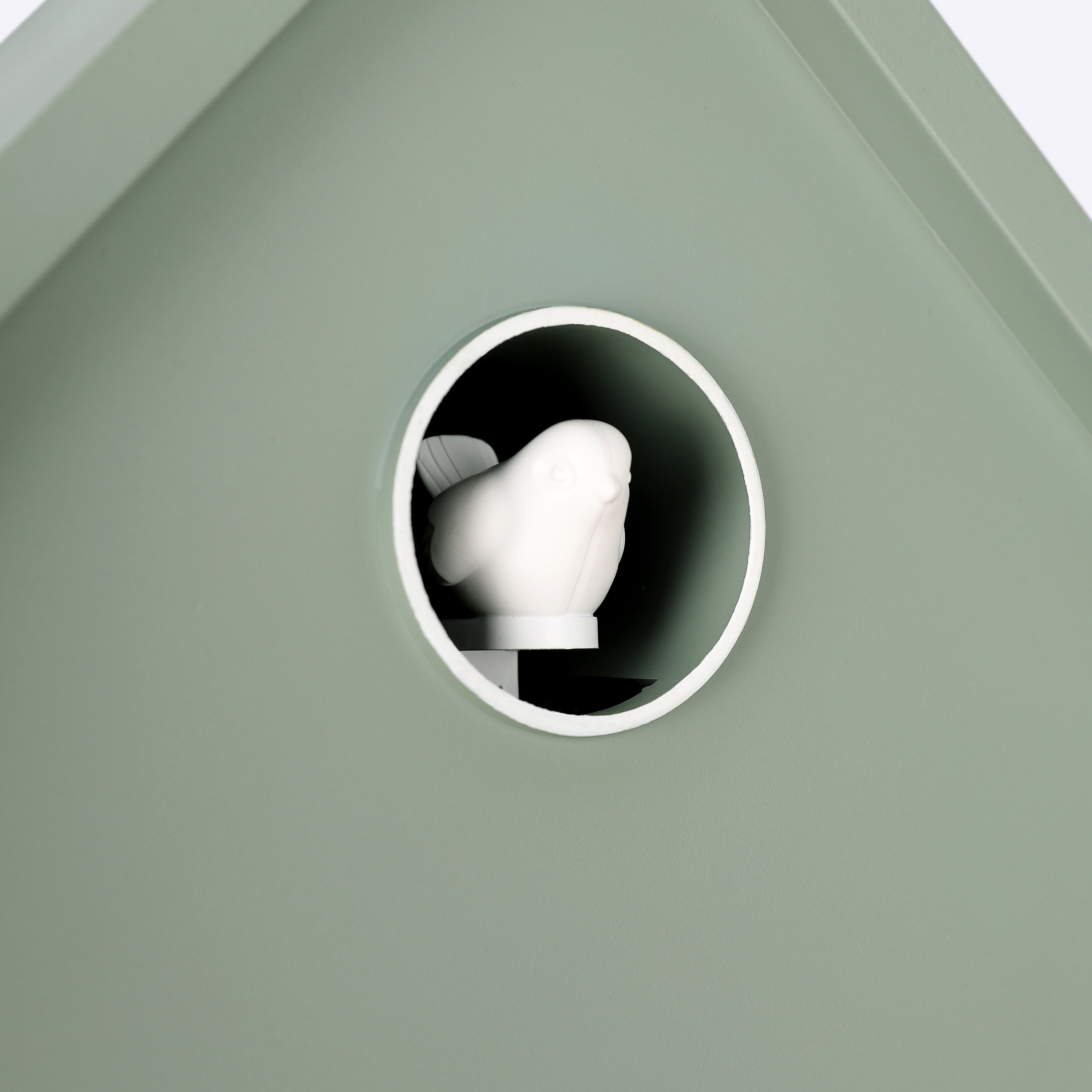 Cuckoo Wall Clock in Sage - Sage
